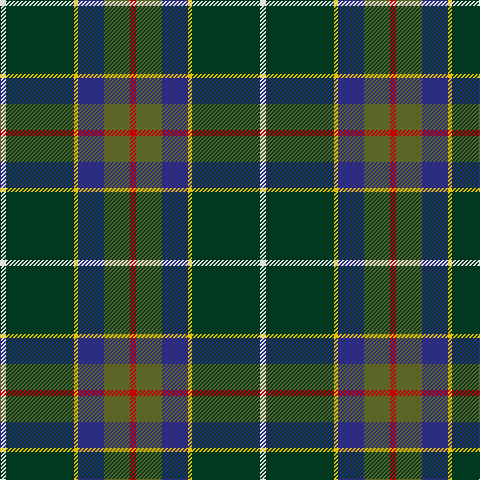 LN/6 DG68 Y4 DB26 G26 R/6 tartan Tartan detail