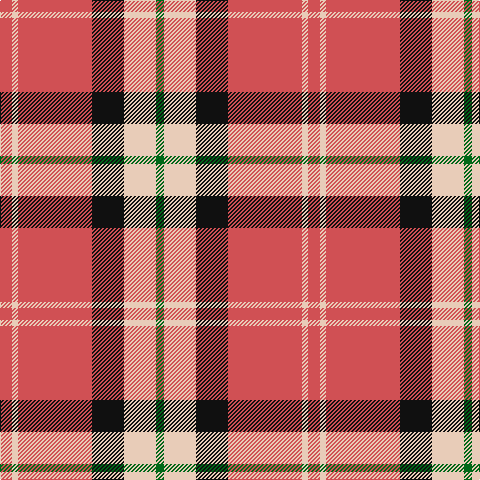 DO/12 LR6 DO74 K32 LR32 G/8 tartan Tartan detail