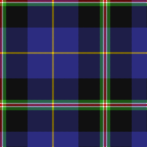 R/6 W4 G10 K70 DB80 Y/6 tartan Tartan detail