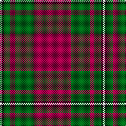 LN/4 K4 G12 R8 G36 R/72 tartan Tartan detail