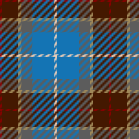 DRa/8 DR54 LT12 N38 B76 LR/8 tartan Tartan detail