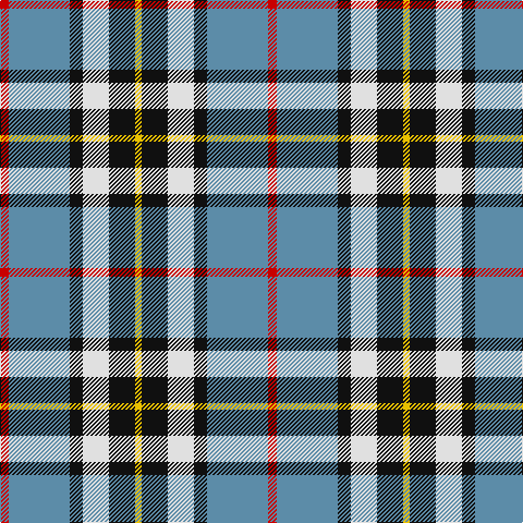 R/8 B56 K12 LN24 K24 Y/6 tartan Tartan detail