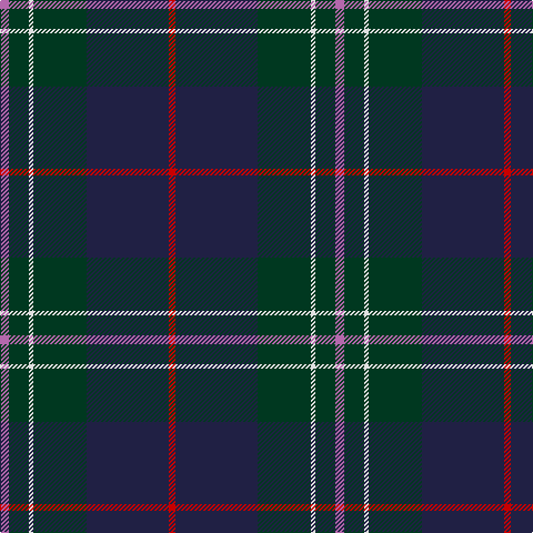P/8 DG18 LN4 DG48 DB74 R/6 tartan Tartan detail