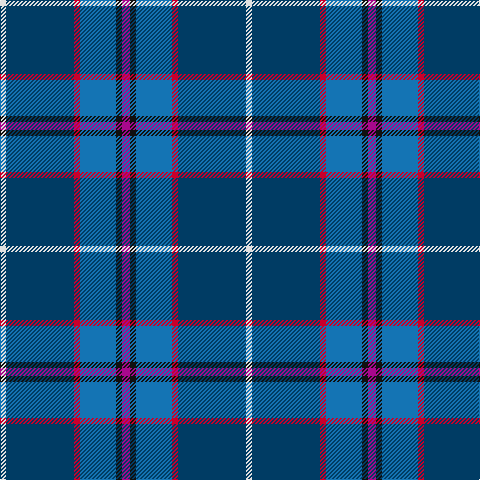 LN/6 DB68 R6 B36 K6 P/8 tartan Tartan detail