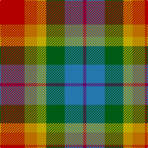 R/40 O20 Y15 G30 B30 P/5 tartan Tartan detail