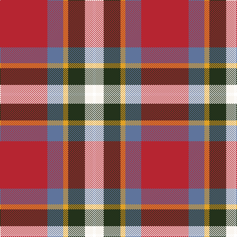 R/96 B32 Y10 K34 W16 T/6 tartan Tartan detail