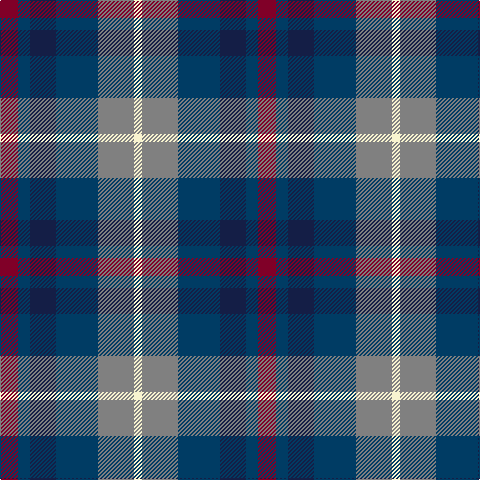DR/18 DB12 DBa26 DB42 N36 LY/8 tartan Tartan detail