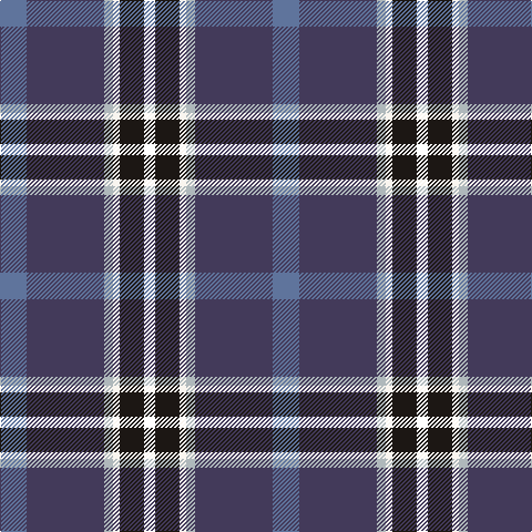 B/24 N70 Na8 W6 K22 P/10 tartan Tartan detail