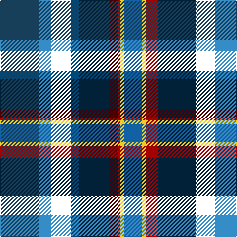 B/52 DN20 DB38 DR12 Y4 Ba/18 tartan Tartan detail