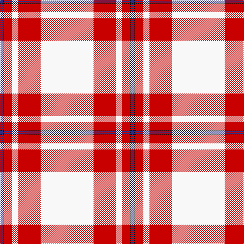 DB/6 K2 R16 W12 R44 W/104 tartan Tartan detail