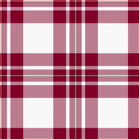 LR/6 K2 DR16 W12 DR44 W/104 tartan Tartan detail