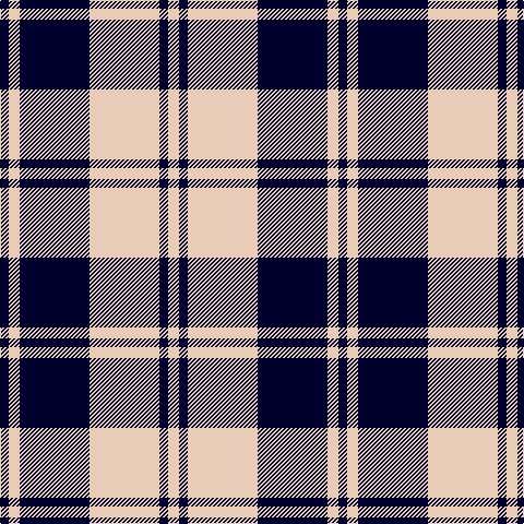 DB/8 LR10 DB64 LR64 DB8 LR/10 tartan Tartan detail
