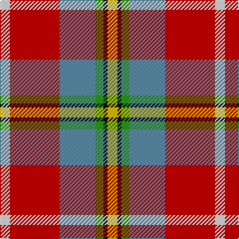 LN/10 R50 B36 G8 K4 Y/10 tartan Tartan detail