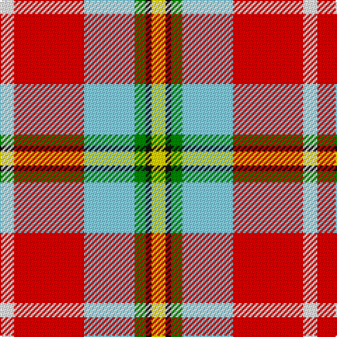 W/10 R50 LB36 G8 K4 Y/10 tartan Tartan detail