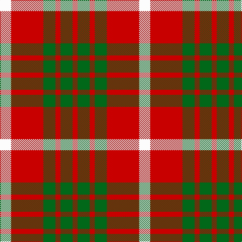R/10 G24 R10 G24 R64 W/22 tartan Tartan detail