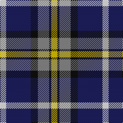 W/12 DB48 K14 N22 K4 Y/12 tartan Tartan detail