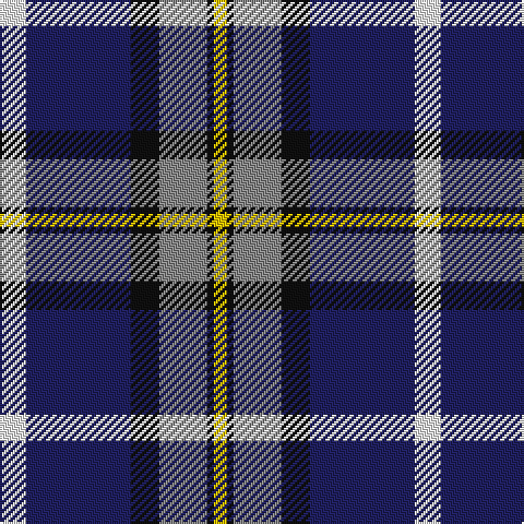 W/12 DB48 K13 N22 K3 Y/6 tartan Tartan detail