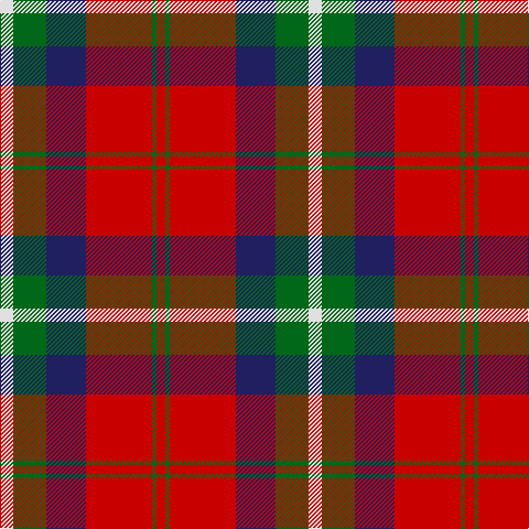 LN/12 G30 DB36 R60 G4 R/8 tartan Tartan detail