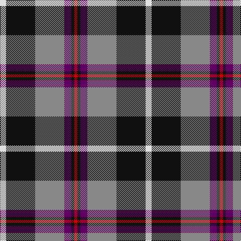 LN/12 K58 N58 P14 K6 R/6 tartan Tartan detail