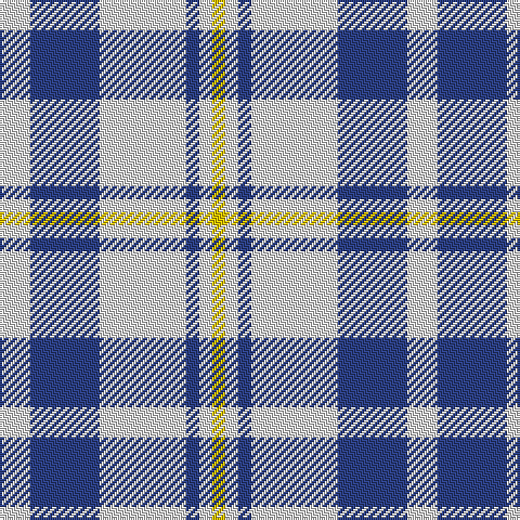 LN/14 B32 LN40 B6 LN6 Y/6 tartan Tartan detail