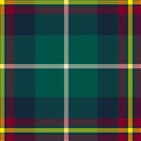 Y/15 DN8 DR25 DN72 G98 W/15 tartan Tartan detail