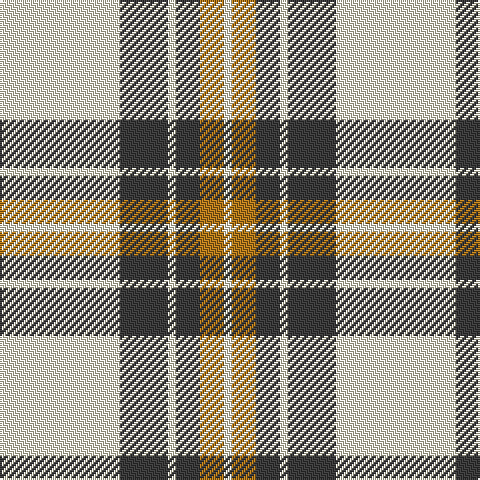 LY/60 N24 LY4 N12 LT12 LY/4 tartan Tartan detail