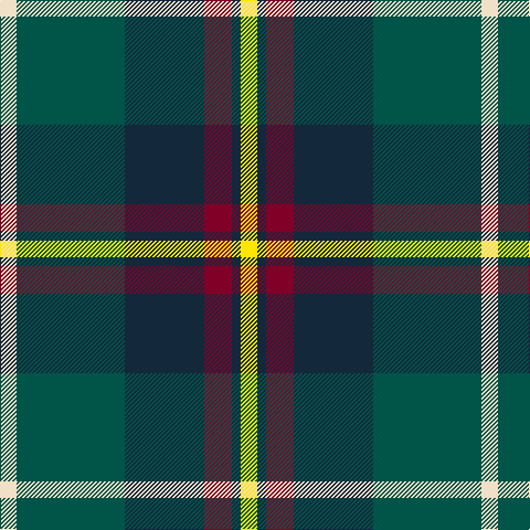 W/15 G98 DN72 DR25 DN8 Y/15 tartan Tartan detail