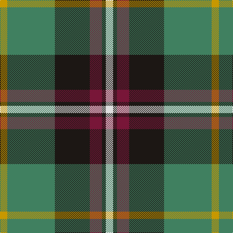 DY/15 G98 K72 DR25 K8 LN/15 tartan Tartan detail