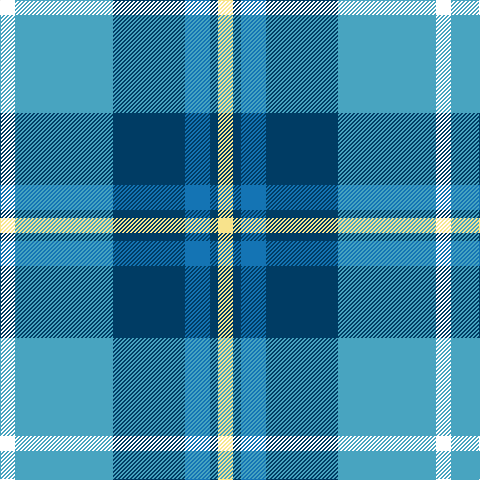 W/15 B98 DB72 Ba25 DB8 LY/15 tartan Tartan detail