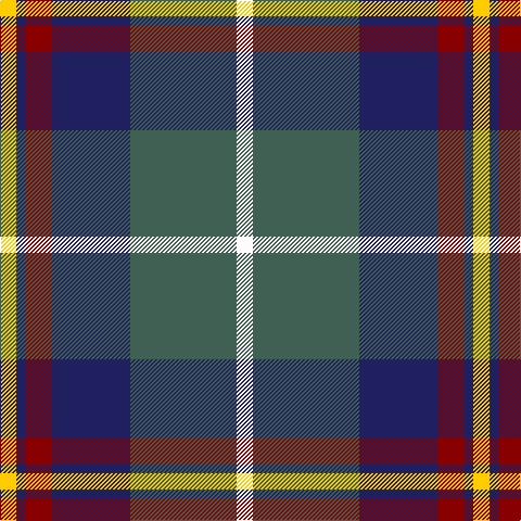 Y/15 DB8 DR25 DB72 N98 W/15 tartan Tartan detail