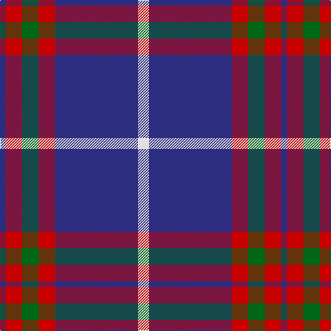 DB/8 R24 G24 R24 DB120 LN/16 tartan Tartan detail