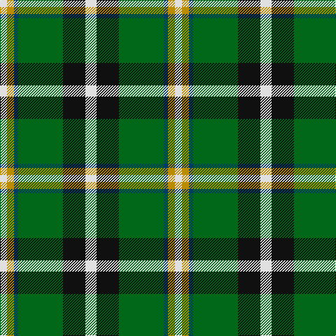 LN/10 DY10 DB6 G64 K32 LN/16 tartan Tartan detail