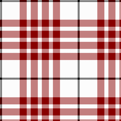 K/8 W70 DR28 W16 DR28 W/16 tartan Tartan detail