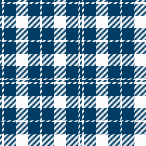 DB/6 W6 DB40 W40 DB40 W/6 tartan Tartan detail