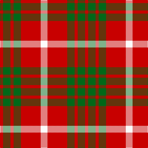 R/10 G24 R10 G24 R64 W/22 tartan Tartan detail