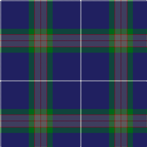 DR/2 N18 R2 G18 DB90 LN/4 tartan Tartan detail
