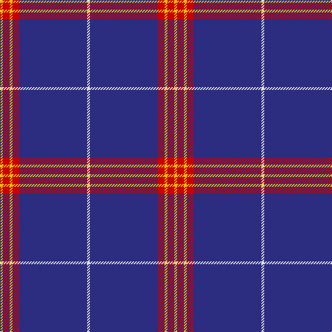 Y/4 R10 Y4 R10 DB98 LN/4 tartan Tartan detail