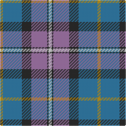 DY/4 B24 K12 LP20 K2 LN/4 tartan Tartan detail