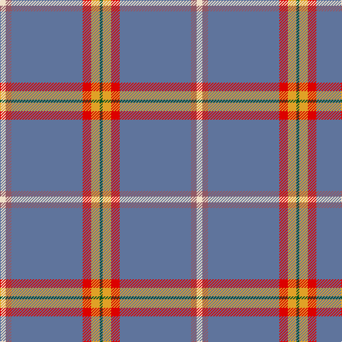 W/8 LT8 B100 R12 Y12 G/4 tartan Tartan detail