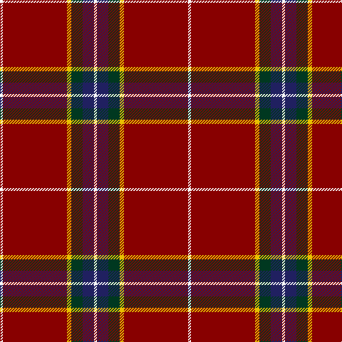 W/4 DR90 Y6 DG16 DB16 W/4 tartan Tartan detail