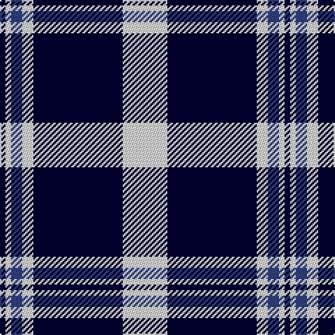 DB/4 LN4 B8 LN8 DB64 LN/32 tartan Tartan detail