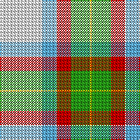 LN/72 B24 LN2 R24 G32 Y/4 tartan Tartan detail