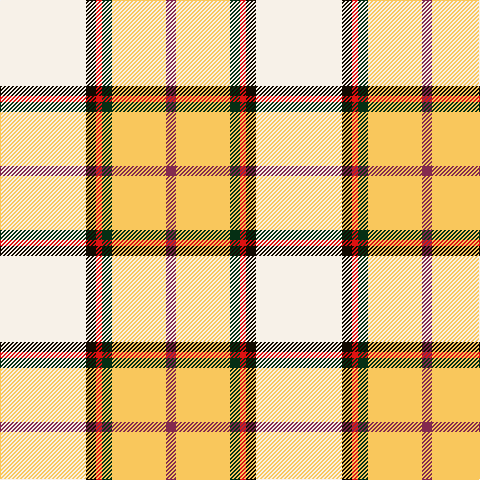 W/86 K10 R6 DG10 LG54 DR/10 tartan Tartan detail