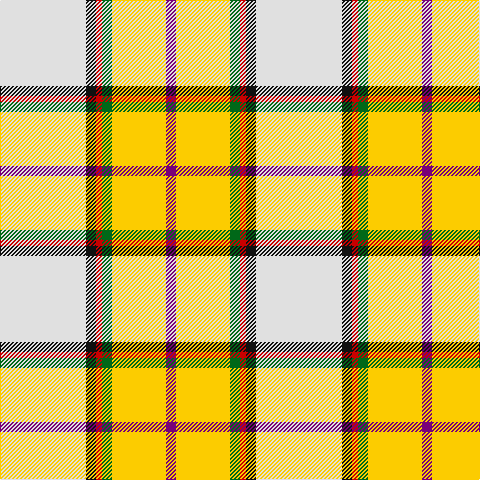 LN/86 K10 R6 G10 Y54 P/10 tartan Tartan detail