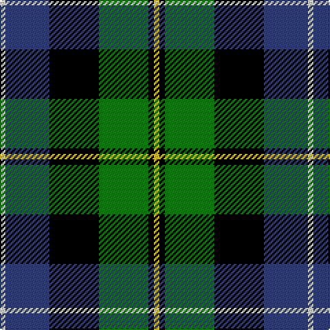 LN/4 B32 K36 G36 K4 Y/4 tartan Tartan detail