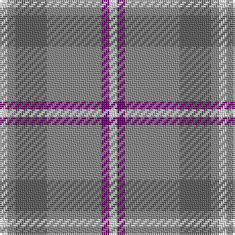 LN/4 Na4 N16 Na28 P4 LN/4 tartan Tartan detail