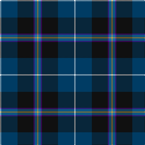 W/4 DB54 K53 P4 B8 Y/4 tartan Tartan detail