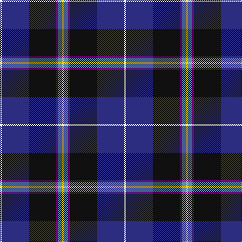 W/4 DB54 K53 P4 B8 Y/4 tartan Tartan detail