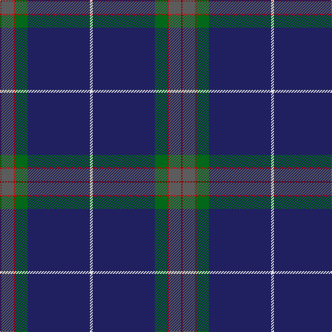 DR/2 N18 R2 G18 DB90 LN/4 tartan Tartan detail