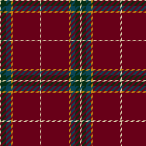 LR/4 DG16 DB16 DY6 DR90 LR/4 tartan Tartan detail